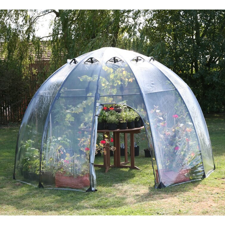 Curved Shape Greenhouse