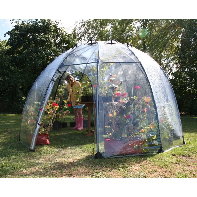 Curved Shape Greenhouse